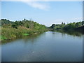 North bank, Barnton Cut, Weaver Navigation