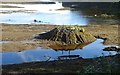 V9270 : Fishing island at Sheen Falls Lodge by Val Pollard