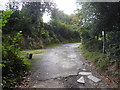 Beeches Lane going southwards