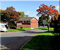 Autumn colours, Fairwater, Cwmbran