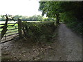 Long straight bridleway going south by field