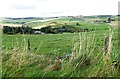 View downhill to Craigmill (on left)