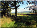 Llwybr Croes Faen Uchaf Path