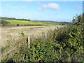 Looking northwest from Thornton Lane