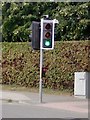 UK Puffin Crossing  Traffic Light Signal