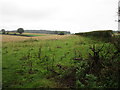 Footpath to Brockhampton