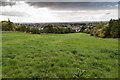 View over Woodmancote