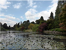 TQ4124 : Ten Foot Pond, Sheffield Park by PAUL FARMER
