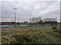 Playing fields viewed from across the railway line