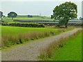 Solar farm, Frankley