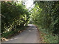 TM1491 : Low Common Road, Aslacton by Geographer