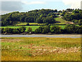 SH7871 : A view across Afon Conwy by John Lucas