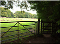 Path towards Priestlands Wood