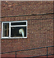 Penn Common industrial estate window