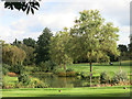 Lake on the Golf Course