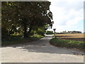 TM1691 : Church Road, Aslacton by Geographer