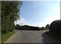 TM1690 : Carr Lane, Aslacton by Geographer