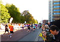 Approaching the finish in the 2016 Royal Park Half Marathon