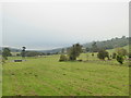 Recreation ground at Littledean