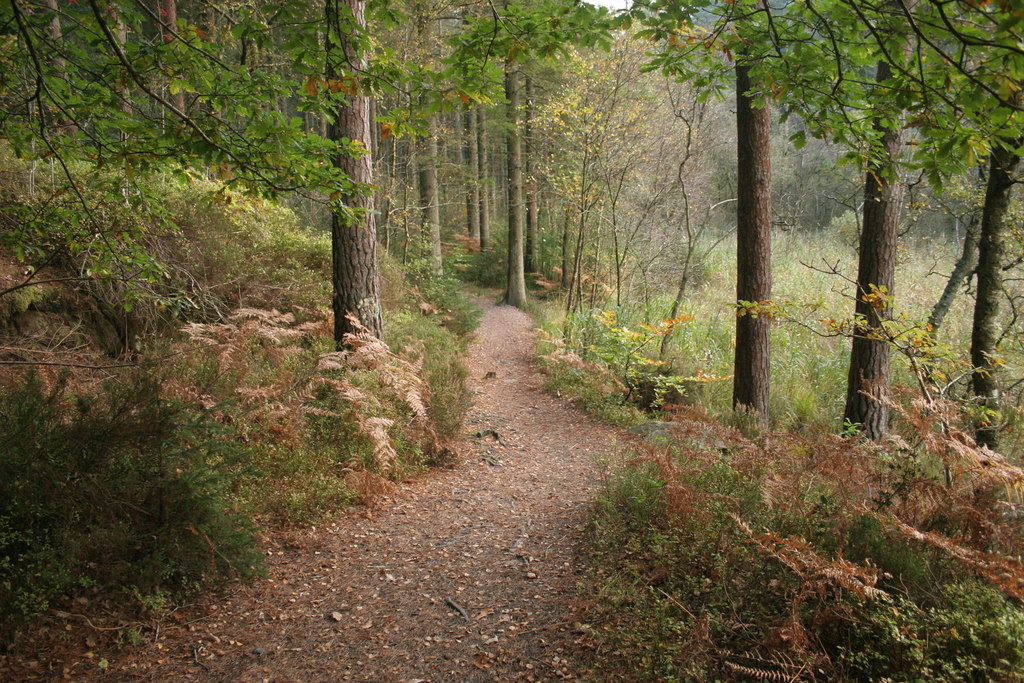 Woodland path, Dalbeattie Forest © Richard Sutcliffe cc-by-sa/2.0 ...