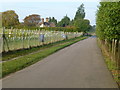 Road through the East Malling Research Centre looking west