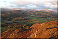 On Muncaster Fell