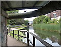 Pipe and towpath under Coffee House Bridge O