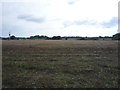 Stubble field off Abbey Lane