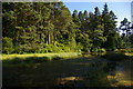 The Tarn, Cragside