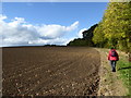 Field edge path outside Lydbury North