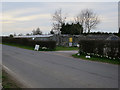 Greenhouses by Mill Road