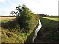 The River Till near Kexby