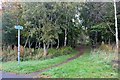 Parkland footpath at Johnstone Castle