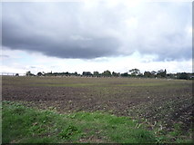 TM3968 : Farmland, Yoxford by JThomas