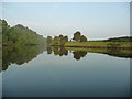 SJ5576 : Early morning reflections, River Weaver by Christine Johnstone