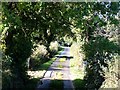 Track from the River Elwy to the A535 St Asaph Road