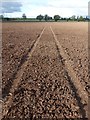 Tractor lines in a ploughed field