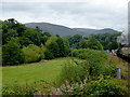 Riverside pasture and woodland near Llangollen, Denbighshire