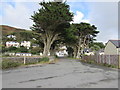 Tree-lined road towards the A493, Aberdovey