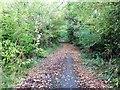 Footpath near St Asaph Business Park