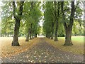 Autumn colours, Gosforth Central Park