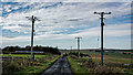 ND1462 : Over head power cables east of Sordale by Peter Moore