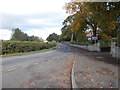 Carleton Road - viewed from Burnside Crescent