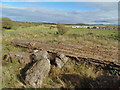 Berryhill No.3 Ironstone Pit