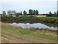 TQ9388 : Pond behind sea wall near Little Wakering Wick by Robin Webster