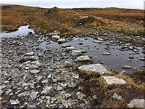NC3531 : Stepping stones on stalker's track, Ben Leoid path by Roy Smart