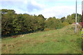 Wildlife area, Blaina Scouts HQ