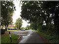 TM1686 : School Road, Tivetshall St.Margaret by Geographer
