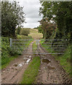 W5370 : Farm track and gateway off L2202 by David P Howard