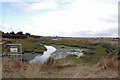 Pigeon Dock #1 Sluice